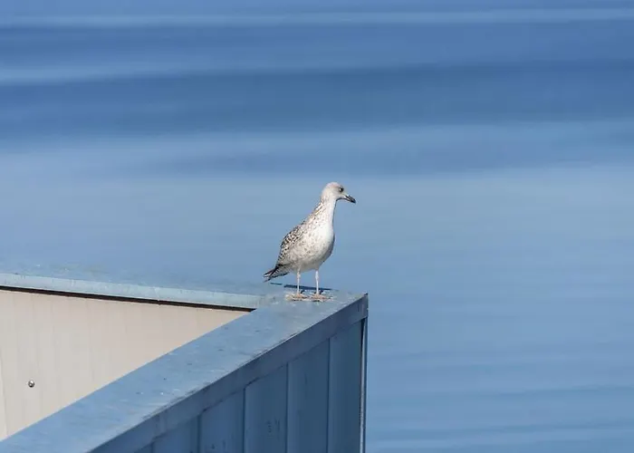 Appartement Tesla With Sea View *